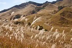 砥峰高原