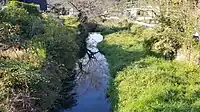 鳥原川（品野町内）
