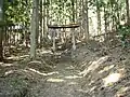 青鬼神社の鳥居