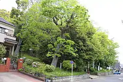 鳥栖八剣社古墳（2016年4月）
