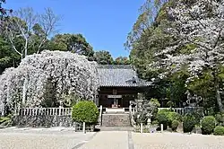 土呂八幡宮