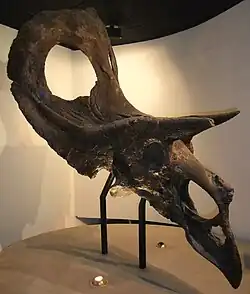 トロサウルス