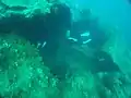 被弾による破損部分