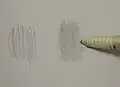 擦筆を用いてブレンディングを行う様子