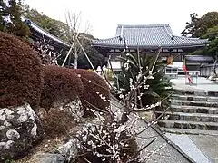 境内