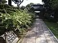 秋は萩の花