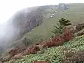 広大な山頂部