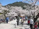 久松公園(鳥取県鳥取市)