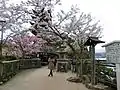 陶晴賢本陣が置かれていた塔の岡