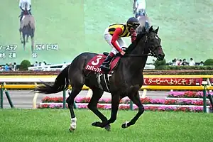 競走馬タッチミーノット