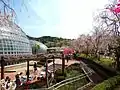 東谷山フルーツパーク