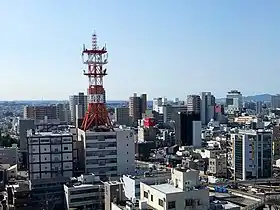 豊橋市(中核市)
