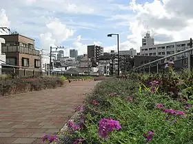 東横フラワー緑道
