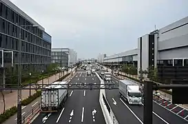 「都道484号線」西側、左側「管理施設棟」、右側「水産仲卸売場棟」（2018年10月15日撮影）