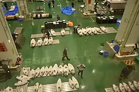 「水産卸売場棟」大物冷凍（2018年10月15日撮影）
