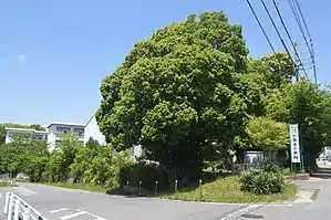 豊田市立小清水小学校（2018年（平成30年）5月）