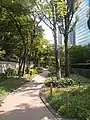本ビル裏手の後楽緑道