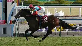 第105回優勝馬トレイルブレイザー