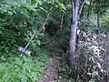 登山道入り口