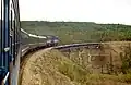 トンモト-ネリュングリ間の列車