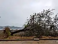台風による被害の様子