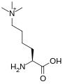 (6-N,6-N,6-N)トリメチルリシン