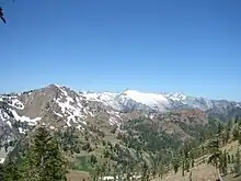 クラウス山脈と針葉樹