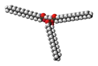 Space-filling model of the tristearin molecule{{{画像alt1}}}
