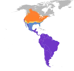 分布域