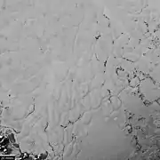 スプートニク平原の窒素の氷の多角形の対流セル(英語版)が確認できる拡大画像(2015年7月14日)