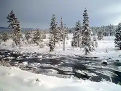 一部が氷結した小川