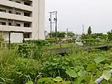 旧1番線ホームの遺構（2020年6月）