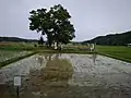 月の輪田とともに管理される隣田