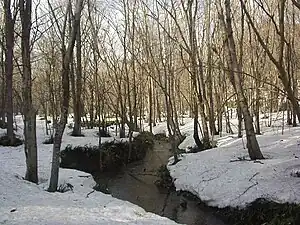 月寒川 2004年4月10日撮影