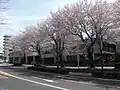 移転前の中央消防署（2012年4月17日）