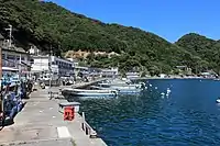 波静かな常神漁港。画像左側に並ぶ民家の奥にソテツが生育している。