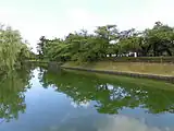 鶴岡公園（2014年7月）