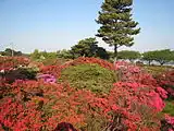 つつじが岡公園（2010年5月）
