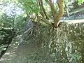 腰郭(左)と二の丸の石垣(右)
