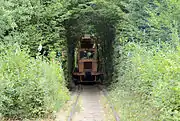 トンネルを通る列車(2)