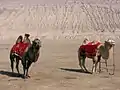 トルファン盆地の火焔山で。