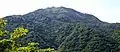 みどりの一里塚から山頂を望む