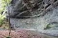 ナベ岩 貝の化石がある