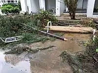 台風による被害の様子