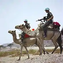 エリトリアで活動するPKFの騎馬隊員(2005年)