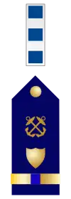 U.S. Coast Guard Chief Warrant Officer 4 Rank Insignia