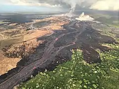 7月10日Fissure 8からの溶岩流。卓越風に流された火山ガスによって風下側の植物の葉が枯れている。左が南方。