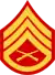 three chevrons up and one down with crossed rifles