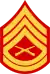 three chevrons up and two down with crossed rifles