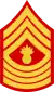 three chevrons up and four down with bursting bomb